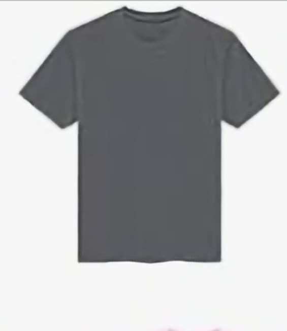 T shirt PALESTINIAN STOLEN LAND MAP