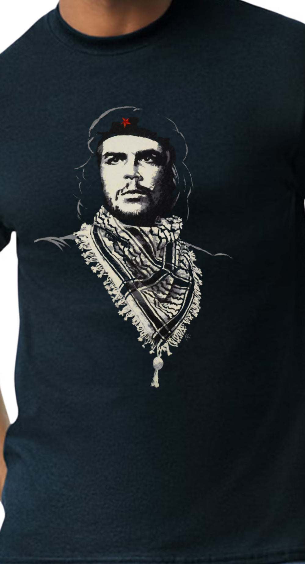 TSHIRTS EVOLUTION