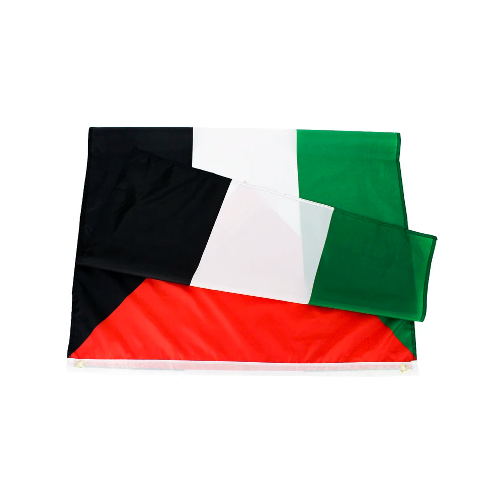 FLAGHUB 60X90 90X150cm PLE  Palestine Flag Palestinian