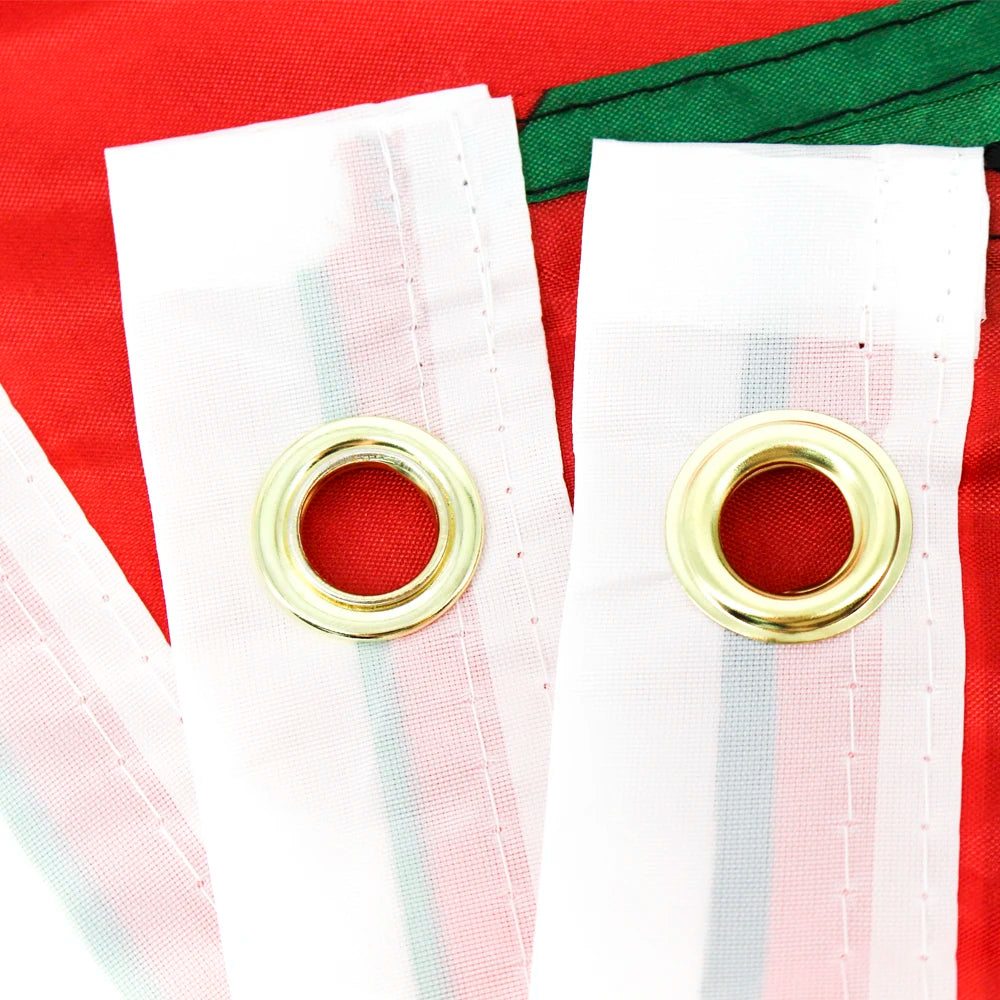 FLAGHUB 60X90 90X150cm PLE  Palestine Flag Palestinian
