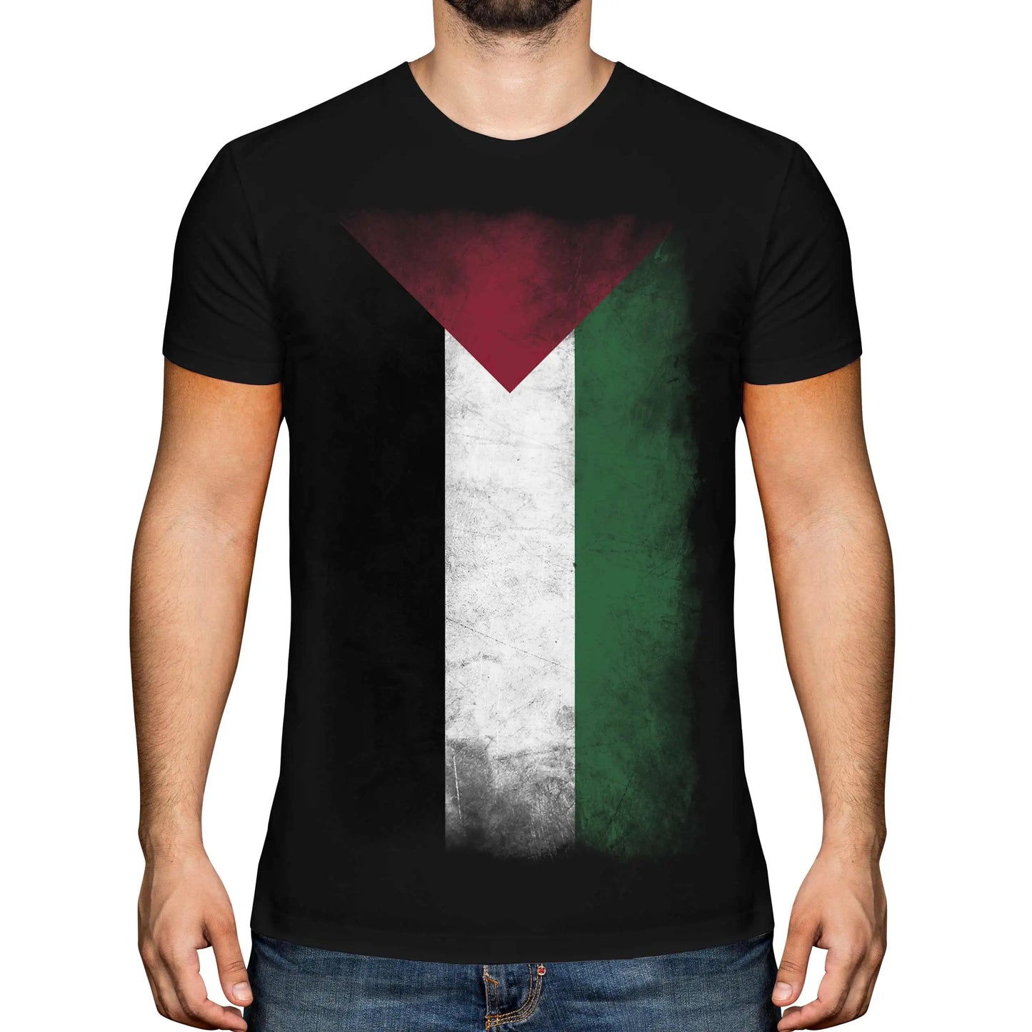 Palestine Faded Flag Mens T-Shirt Short Sleeve Casual Cotton O-Neck  T Shirt
