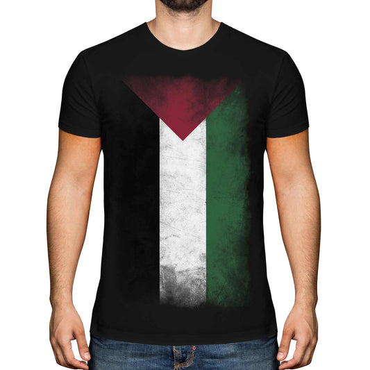 Palestine Faded Flag Mens T-Shirt Short Sleeve Casual Cotton O-Neck  T Shirt